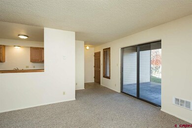 1204 Avenida Del Sol unit 212, Durango, CO 81301 - photo 2