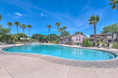 Cortana at Desert Oasis-Pool3