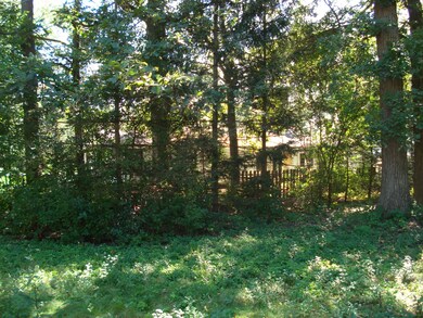 9513-17 Forest Place, Des Plaines, IL 60016 - photo 7