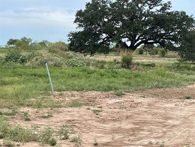 101 Tobiano Trace, Brock, TX 76087 - photo 5