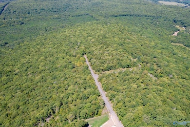 14 Acres Apache Rd NW, Huntsville, AL 35810 - photo 3