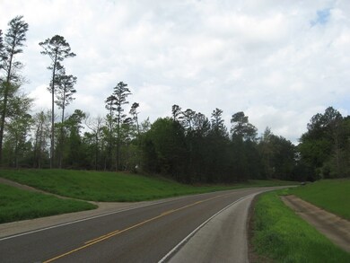 5.49 ac Farm To Market 225, Nacogdoches, TX 75964 - photo 5