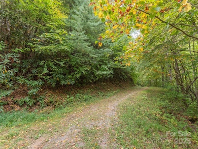 00 Keull Rd, Waynesville, NC 28785 - photo 6