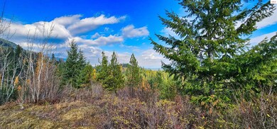 NNA 35 Acres Otter Ln, Naples, ID 83847 - photo 6
