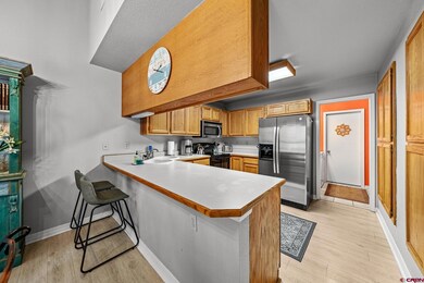 780 Waterfall Ln, Durango, CO 81301 - photo 2