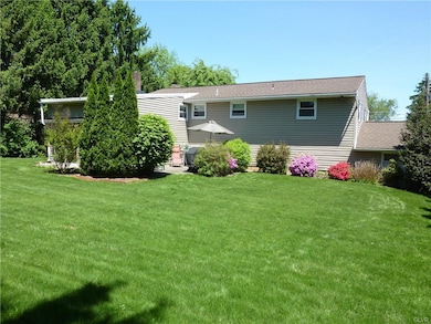 15,000 sq ft flat lot
