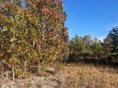 224 Kansas Ave, Hawthorne, FL 32640 - photo 3