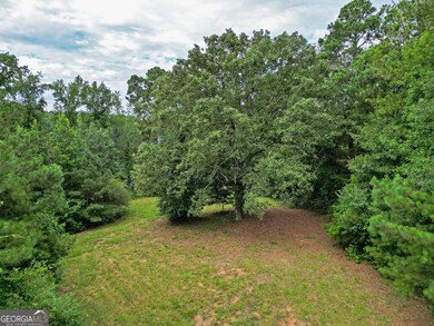 0 Mask and Lynch Rd unit 10611467, Brooks, GA 30205 - photo 4