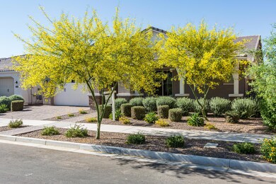 Perfectly Manicured Curb Appeal