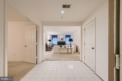 4500 Chaucer Way unit 301, Owings Mills, MD 21117 - photo 7