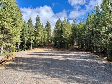 50 Sawtooth Loop unit Lot 30, Cascade, ID 83611 - photo 5