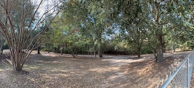 1114 Cannon Rd, Moultrie, GA 31788 - photo 6