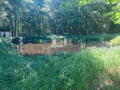 Kyle Lane Pond 1