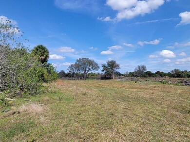 0 Cabbage Ln, Okeechobee, FL 34974 - photo 5