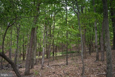 458 Gaither Rd, Great Cacapon, WV 25422 - photo 6