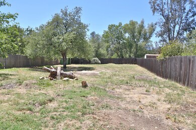 enormous back yard