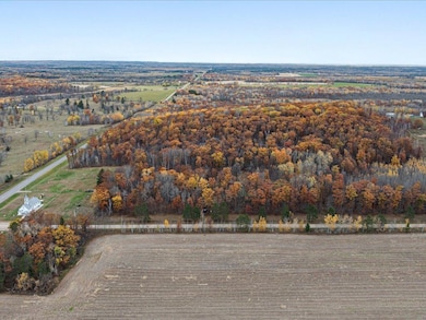 3918 44th Ave SW, Pine River, MN 56474 - photo 2