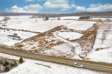 259 Bray Rd, Arcade, NY 14009 - photo 2