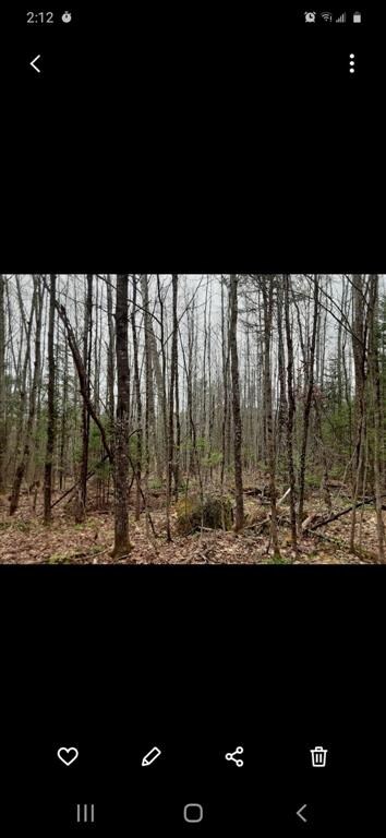 461 Manns Hill Rd, Littleton, NH 03561 - photo 5