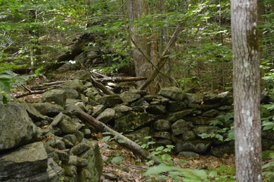 West Hill Rd Middlefield-Becket Line 006