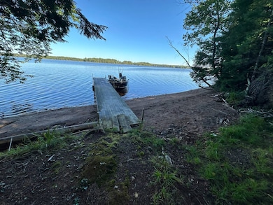 7352 N Chippewa Flowage Rd, Couderay, WI 54828 - photo 6