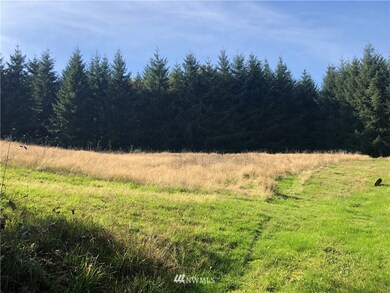 380 Newaukum Valley Rd, Chehalis, WA 98532 - photo 4