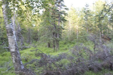 18791746923_e463a74c8a_z.jpglorna15