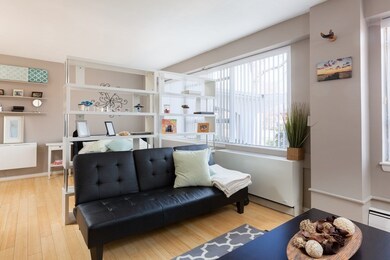 Hammond Park Condominiums unit 105, Chestnut Hill, MA 02467 - photo 6