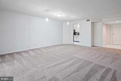 2901 Fallstaff Rd unit 202, Baltimore, MD 21209 - photo 6