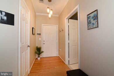 1519 N Point Dr unit 103, Reston, VA 20194 - photo 4