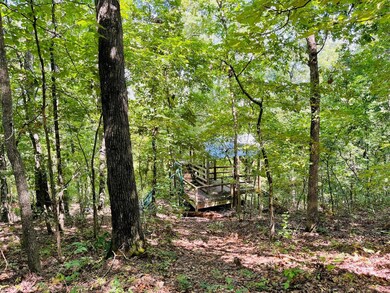 2362 N State Highway 265 unit 20 Acres M/L, Branson, MO 65616 - photo 4