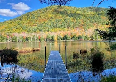 12 The Woods, North Creek, NY 12853 - photo 5