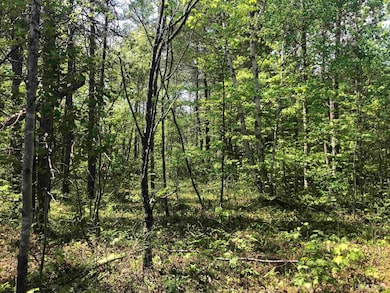 192 Johnson Lake Rd, Gwinn, MI 49841 - photo 6