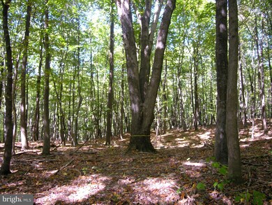 0 Gid Brown Hollow Rd unit VARP2000702, Washington, VA 22747 - photo 5