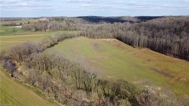 0 Barringer Dr, Sharpesburg, NC 28625 - photo 7