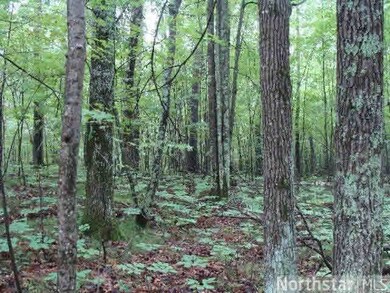 0 Spotted Fawn Rd unit 4591528, Danbury, WI 54830 - photo 6