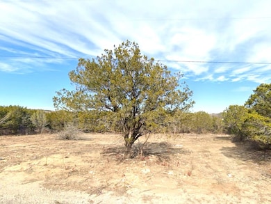 1420 Ridgeview Cir, Granbury, TX 76048 - photo 2