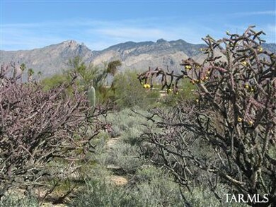 Panorama 2 of Catalina Mtns