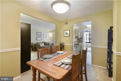 The Brittany unit 309, Arlington, VA 22204 - photo 6