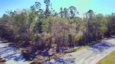 27283 Treadmill Dr, Punta Gorda, FL 33955 - photo 4