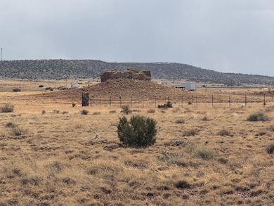 20 County Road 5311, Concho, AZ 85924 - photo 6