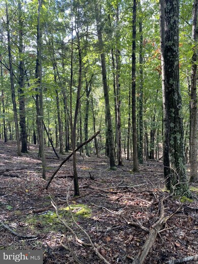 265 Balmoral Ln, Gainesboro, VA 22603 - photo 2