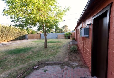 Back yard