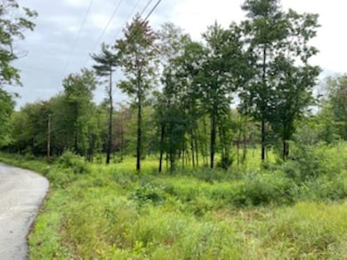 00 Turnpike Rd, New Ipswich, NH 03071 - photo 7