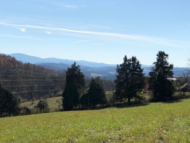 5.9 Ac. - Forest Grove Rd unit 703, Lexington, VA 24450 - photo 5