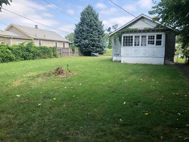 Great back yard