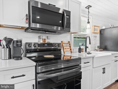 21195 N St, Rehoboth Beach, DE 19971 - photo 6