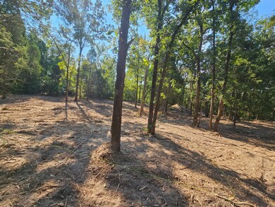 0 S Pennsylvania St unit 21094498, Malakoff, TX 75148 - photo 4