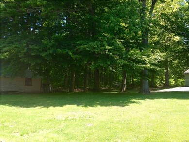 Back yard goes to approx. tree line