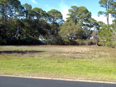 Looking North from Street